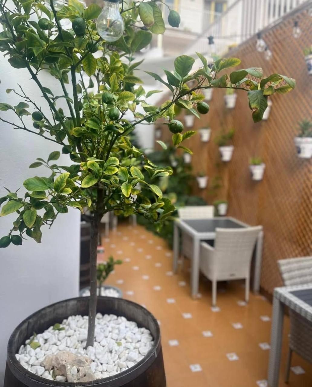 Colibri Hotell Calella Eksteriør bilde